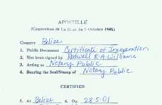 伯利茲海牙認(rèn)證樣本